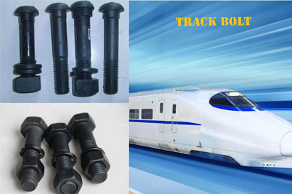 The Unknown Knowledge of Track Bolt for Beginners